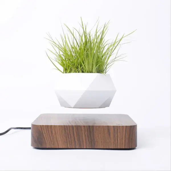 Potted Plant Home Desk Decor